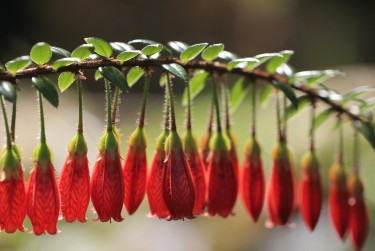 广州花都区1私人快速借钱网，轻松解决资金难题