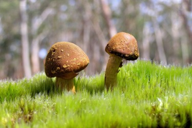 广州花都区1私人老板放款：轻松融资的秘密通道